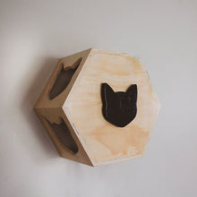 Load image into Gallery viewer, Cat Hexagon
