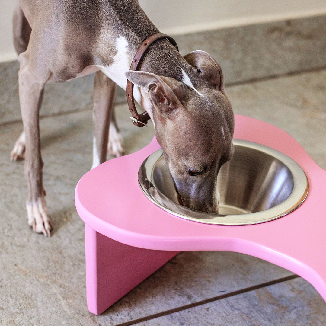 Bone Shaped Elevated Feeder Petfurn